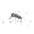 100x Assorted Lever Staff Pins for Pallet Forks