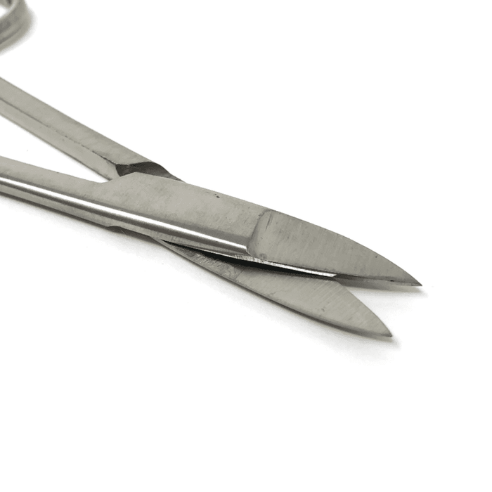 Broad Tip Scissors