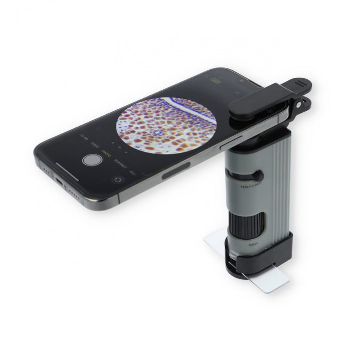 Carson Pocket Microscope 120-240x