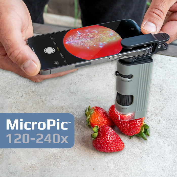 Carson Pocket Microscope 120-240x
