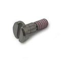 Casio Screw 10624120
