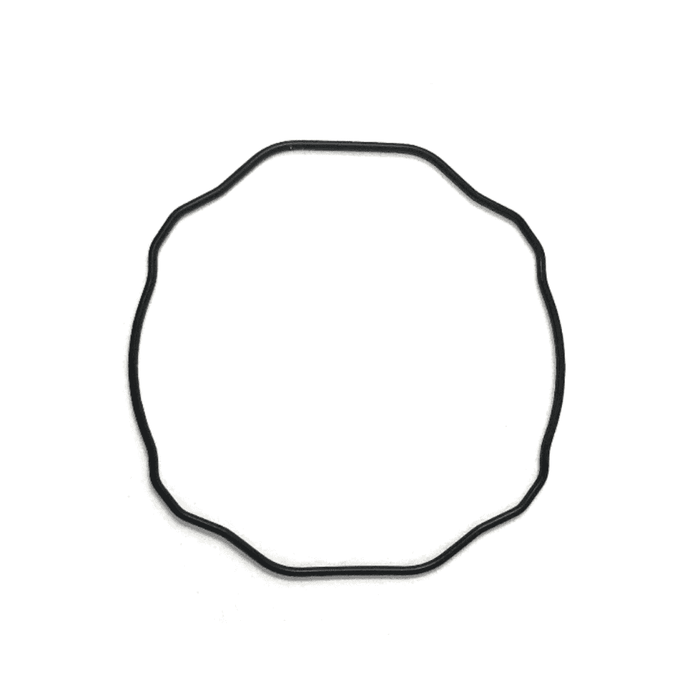 Casio Watch Case O-Ring 10437683