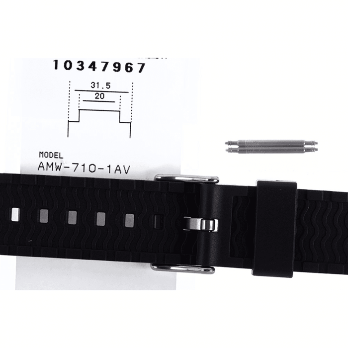 Casio Watch Strap 10347967