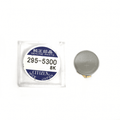 Citizen 295-53 Capacitor (US2025)