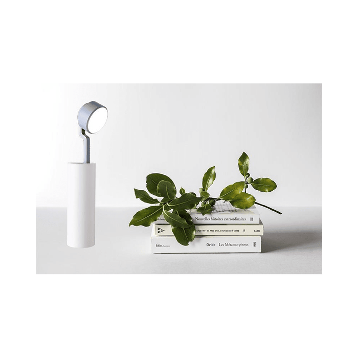 Lifemax Foldaway Portable Light