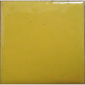 Opaque Enamel Powder 25g - Buttercup Yellow
