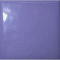 Opaque Enamel Powder 25g - Foxglove Purple