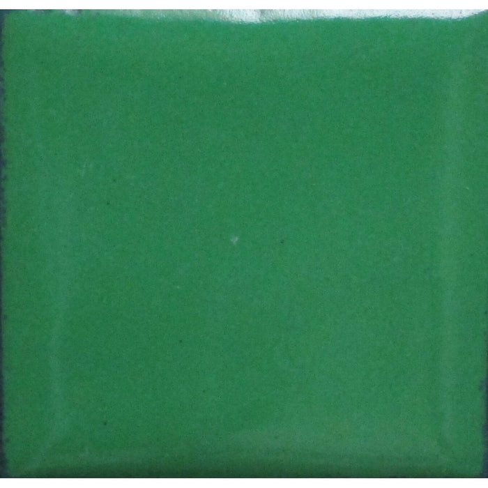 Opaque Enamel Powder 25g - Hunter's Green