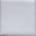 Opaque Enamel Powder 25g - Mat White 1050