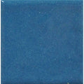 Opaque Enamel Powder 25g - Peacock Blue