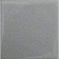 Opaque Enamel Powder 25g - Pussywillow Grey 1910