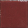 Opaque Enamel Powder 25g - Woodrow Brown