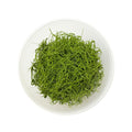 Opaque Enamel Threads for Metals  - Green